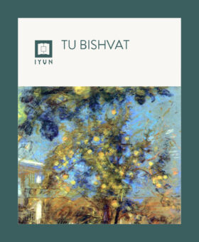 IYUN TU BISHVAT IMAGE