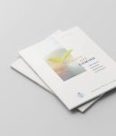Mockups Design